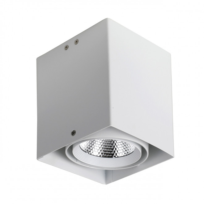 Потолочный светодиодный светильник Favourite Flashled 1986-1U Потолочный светодиодный светильник Favourite Flashled 1986-1U