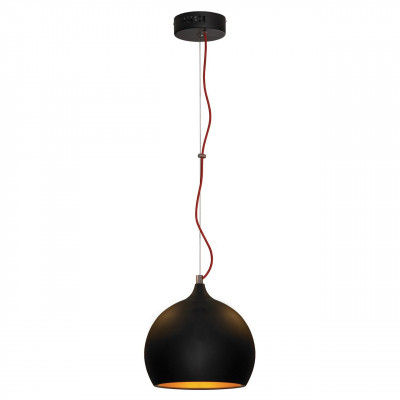 Подвесной светильник Lussole Loft LSN-6116-01