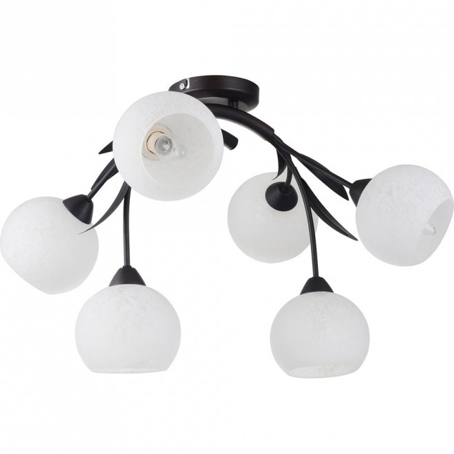 Потолочная люстра Lussole Bagheria LSF-6283-06 Потолочная люстра Lussole Bagheria LSF-6283-06