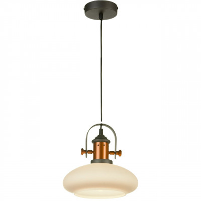 Подвесной светильник Lussole Loft LSP-9845